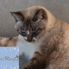 HiSSA-◎TO名古屋1/21