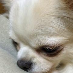 マツコデラックスさん私