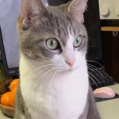 ひじりのとーく