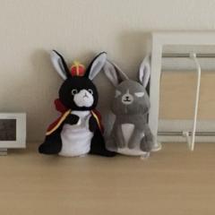 しーくんのリアルトーク！