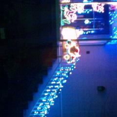 樹(仮)のトーク