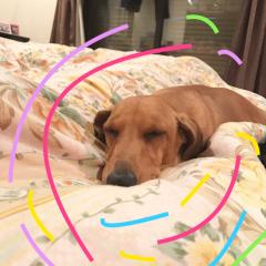 乃木坂17枚目シングル予想しよう‼︎