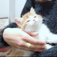 のりくん
