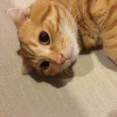 きっか