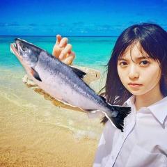 こめこめ⊿ 🗻