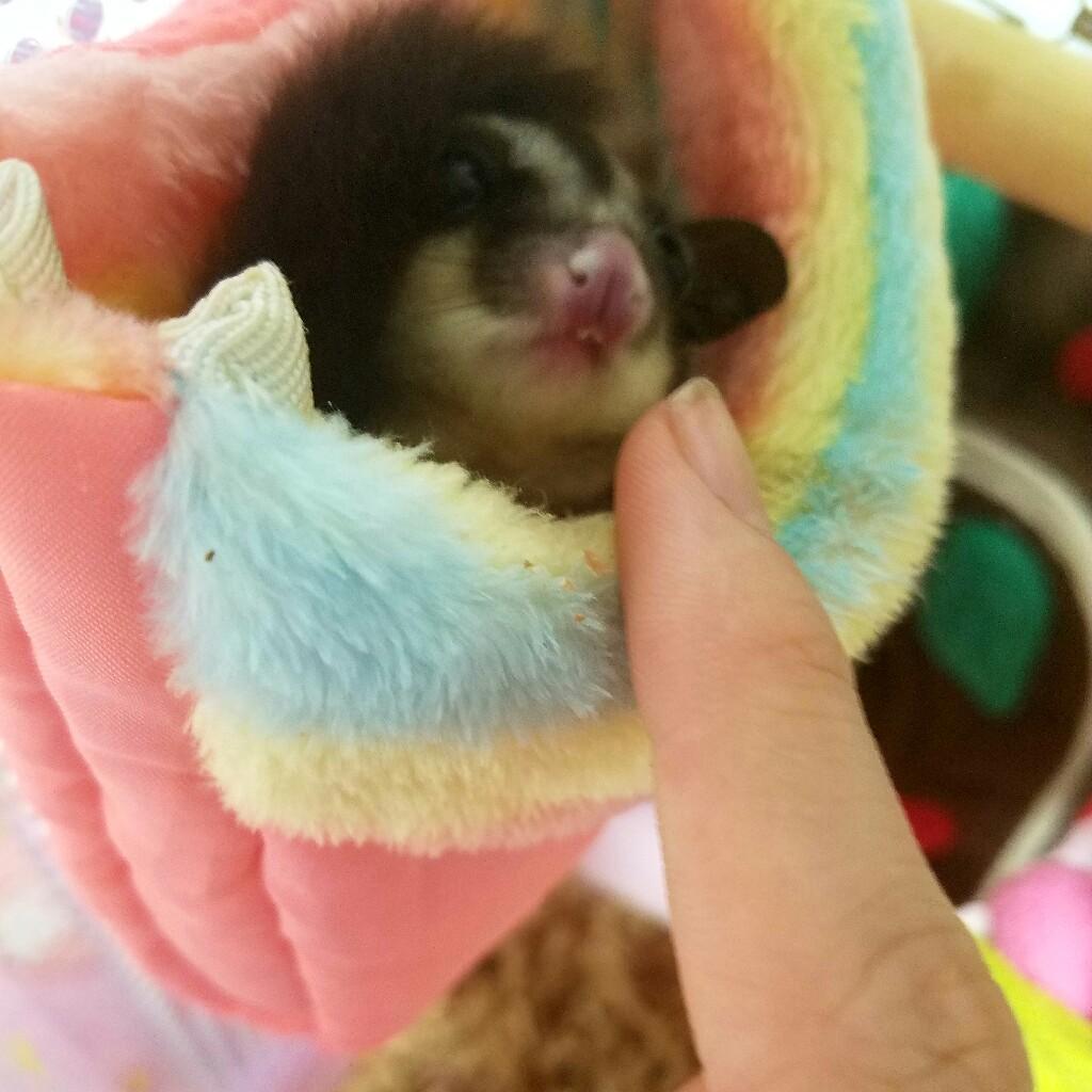 海聖様の宴会のような雑談部屋