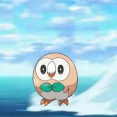 ポケモン サンムーンやってます
