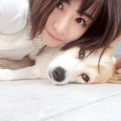 け ん や ん