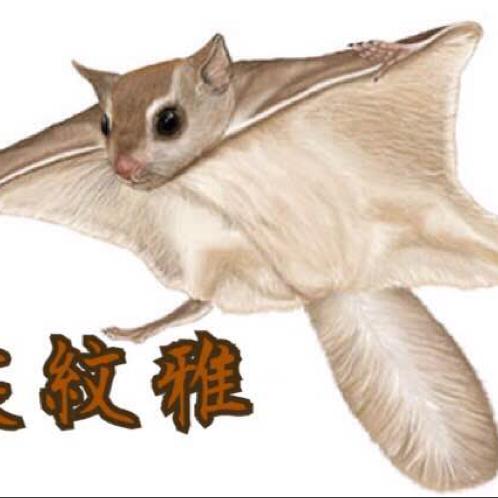 裳紋雅のトーク