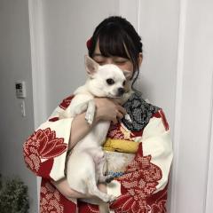 いしーころ⊿のトーク