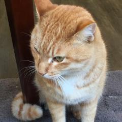 T-ZONE本店8F の元住人