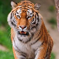 小田泰寛のトーク