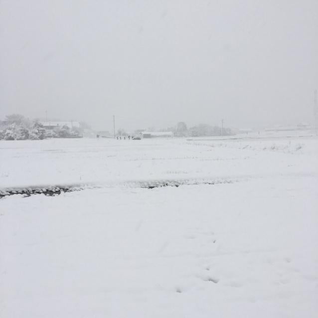 ユキヒトのトーク