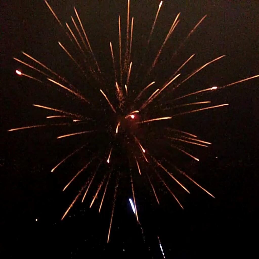 ✧(*•̀ᴗ•́*)و ̑̑✧