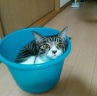 ななまるのトーク