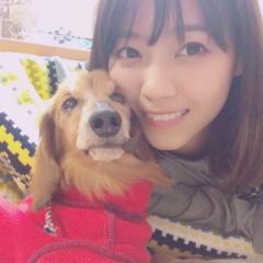 乃木坂46応援社