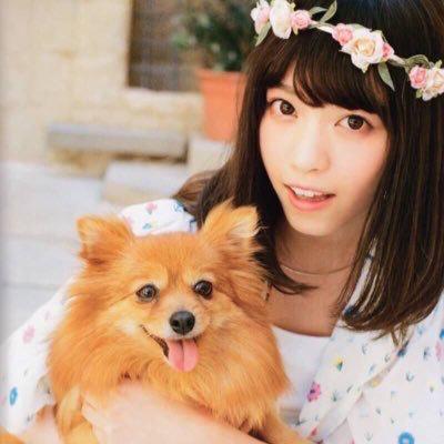 なぁちゃん/若様大好き