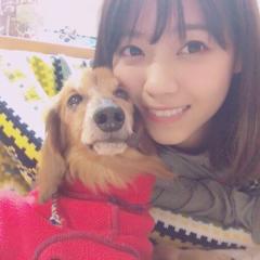 なーちゃん!神!