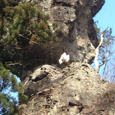 あっきー@のトーク