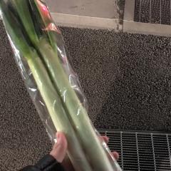 かっぺー
