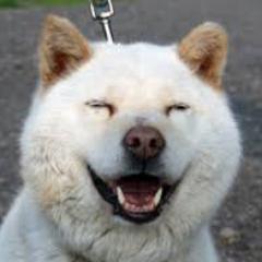 水平思考クイズ他