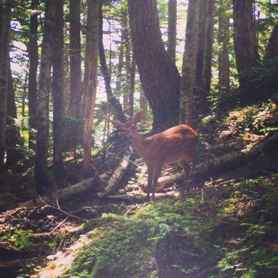 鹿さんのトーク