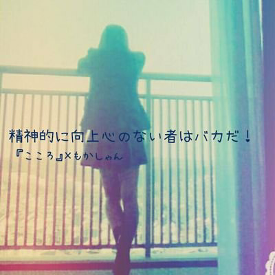 はっせ