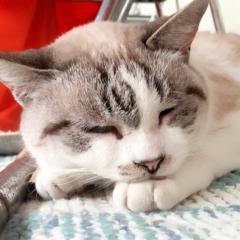 私とお話をしたい人