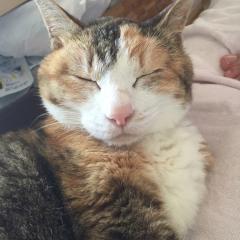 なるる