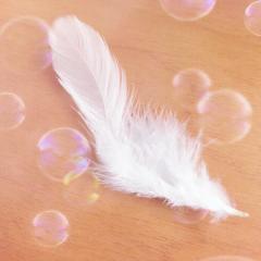 テンシくん専用  ˙˚ʚ ✞ ɞ˚˙