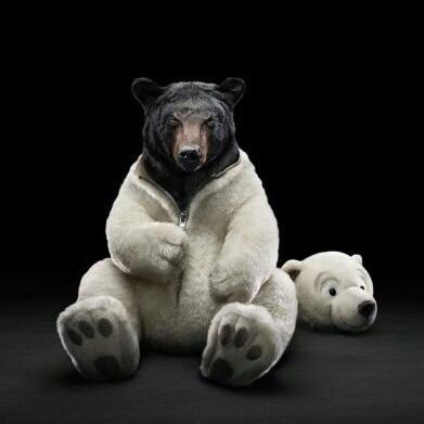 クマ吉