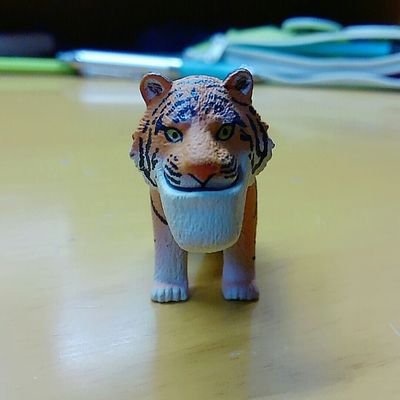 板山敦映のトーク