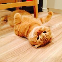 メンバーからの引用✨