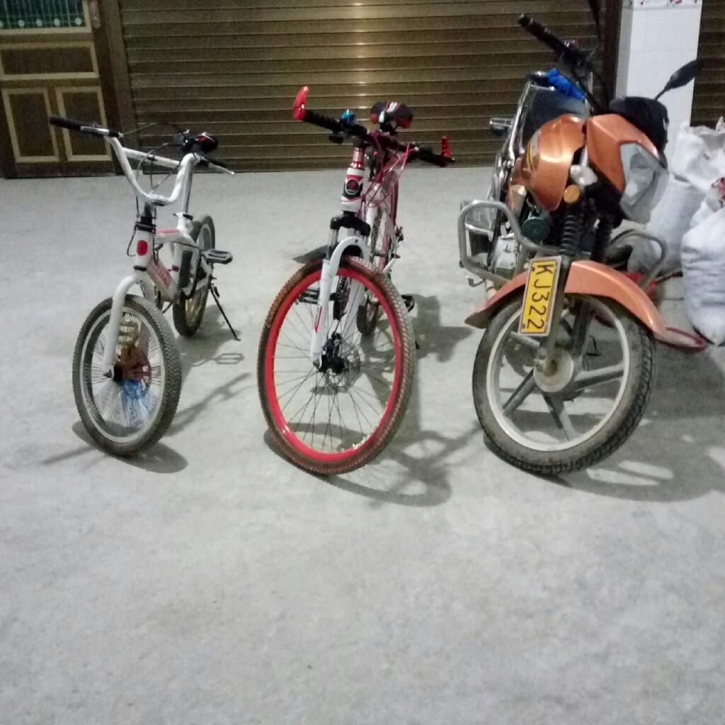 よろしく  おねがいお願い  します