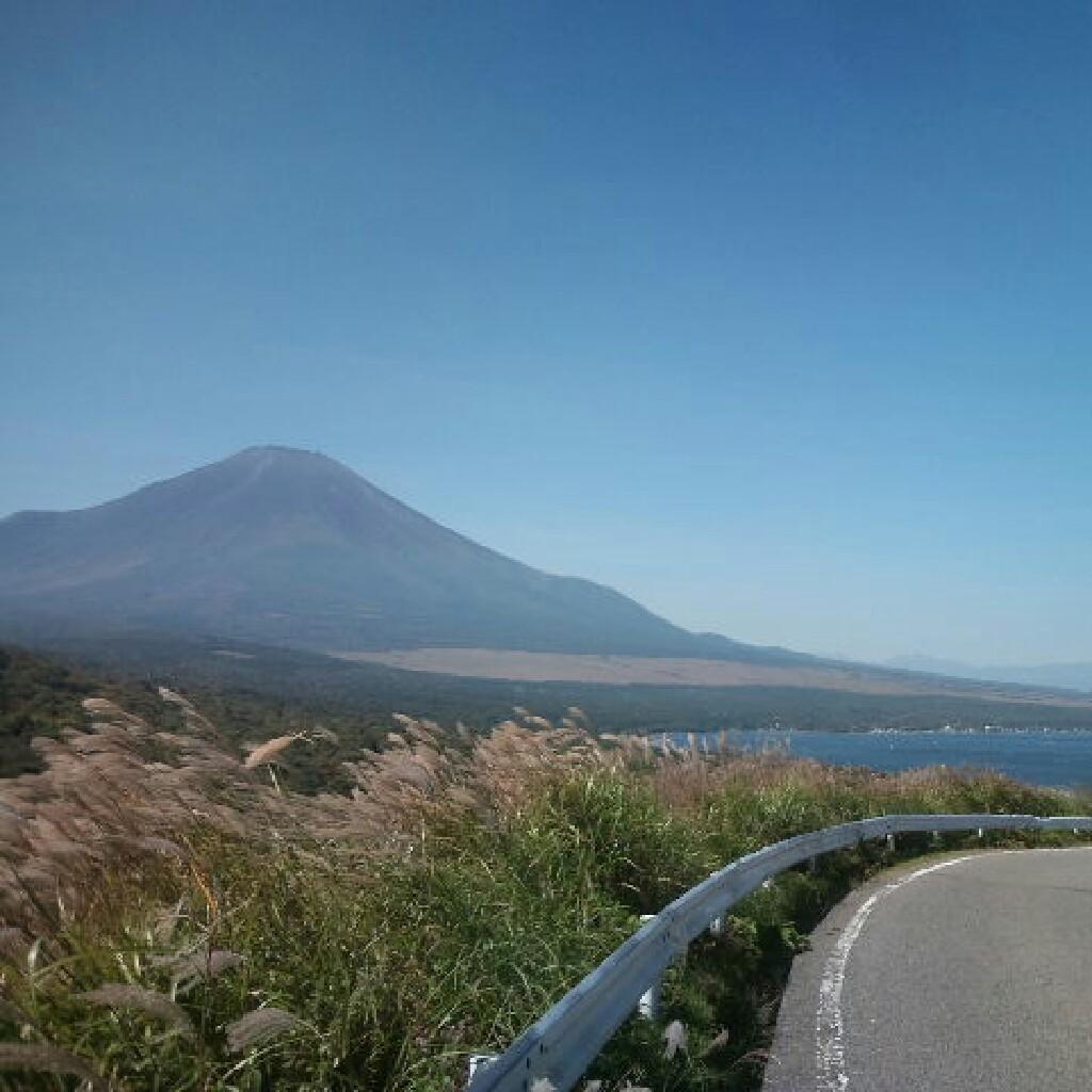 マカロンは好きではない