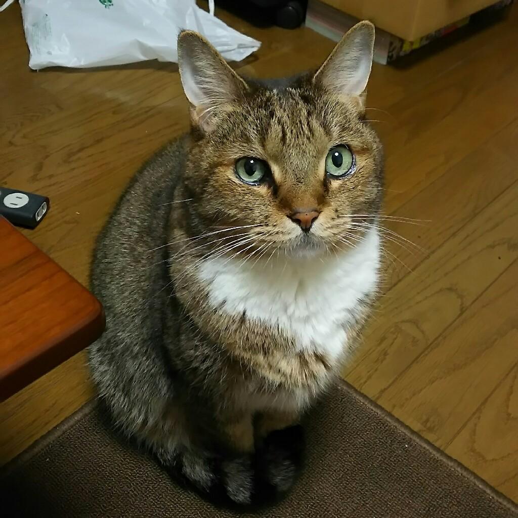 たかあき