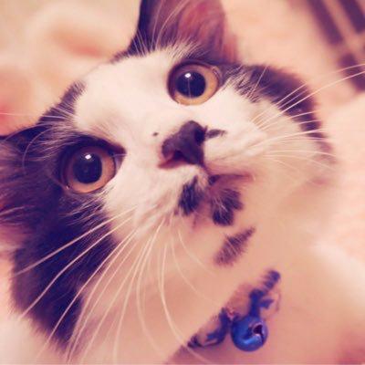 tsubasa/EGOISTのトーク