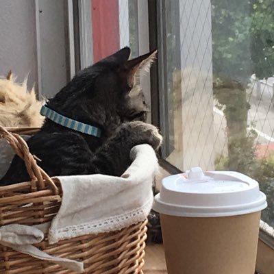 せりかのトーク