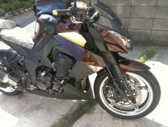 ruya1300(犬ライダー)