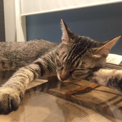 モアス