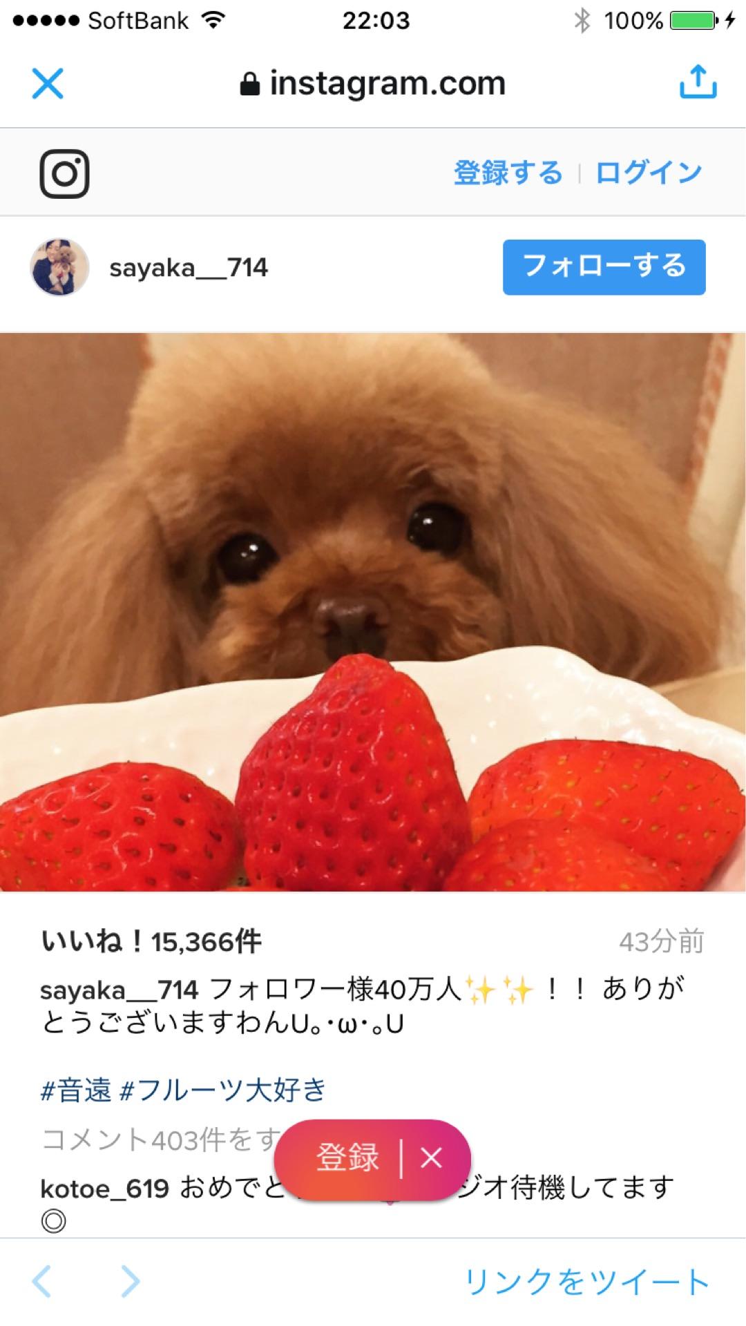 投稿画像