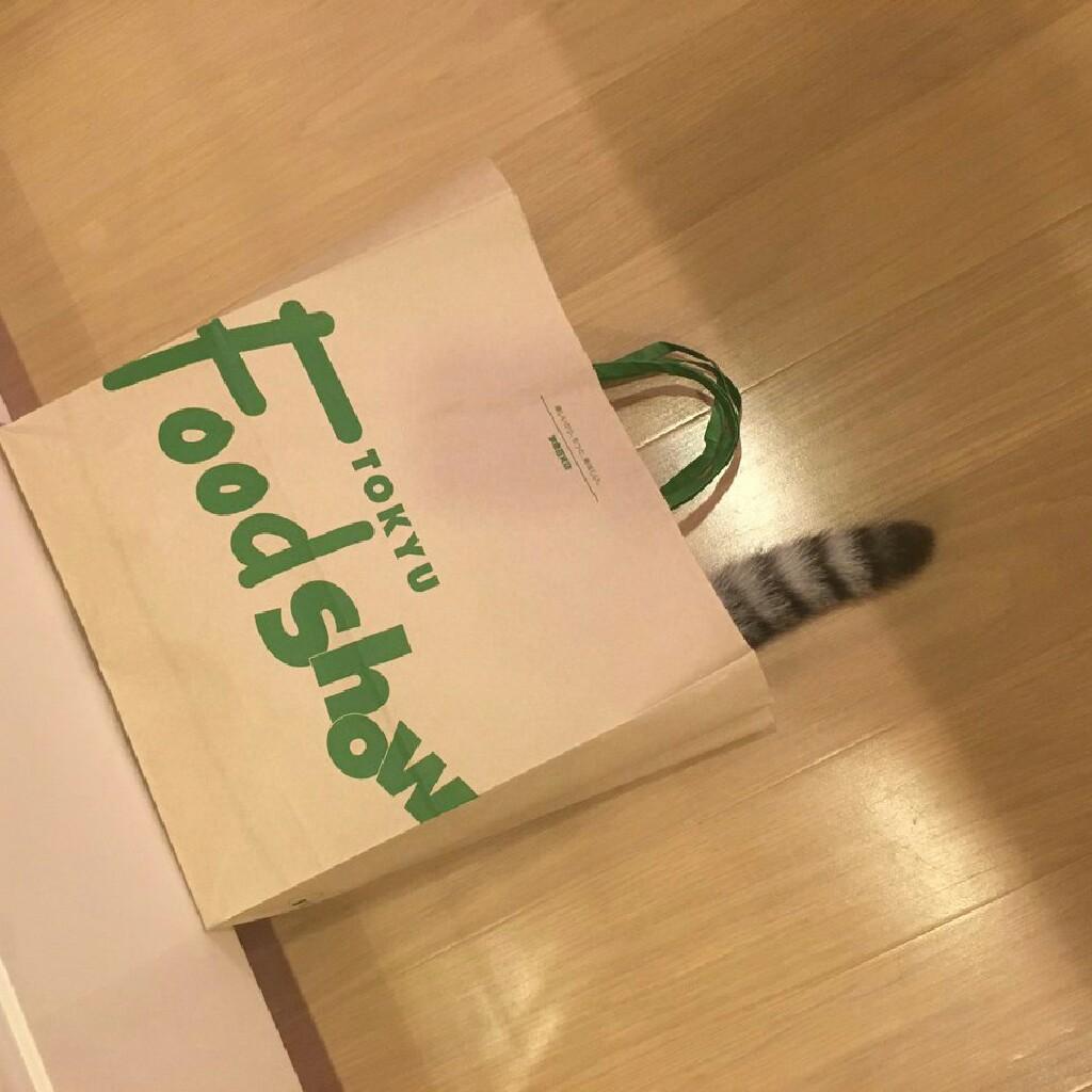 堀江です。