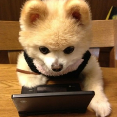 山田太郎のトーク