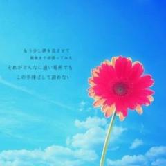 ハルキ