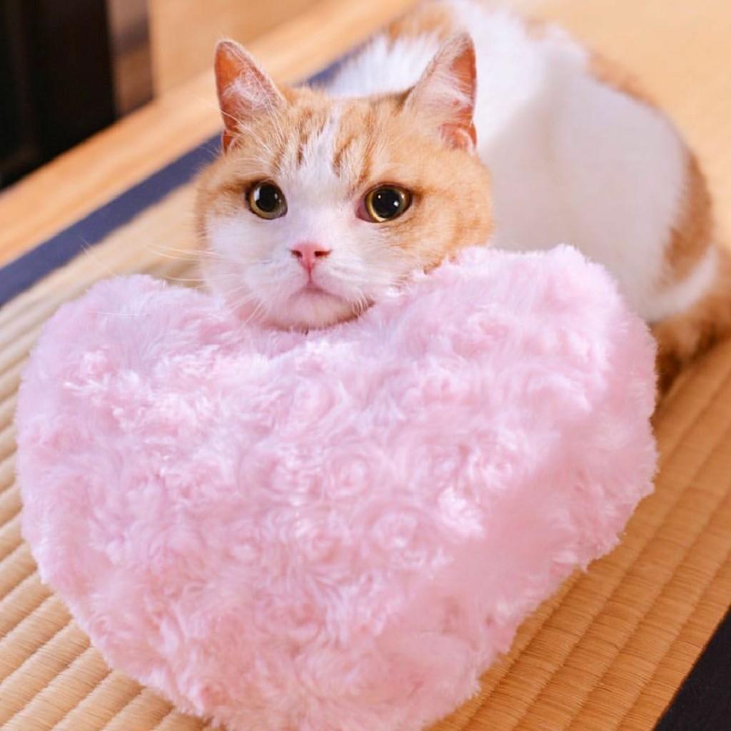 えみ@ハンター打倒コアラージャン