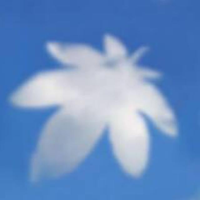 ジェジュン&ひより