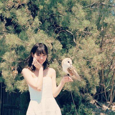 たこ⊿⁴⁶ 【七瀬団】