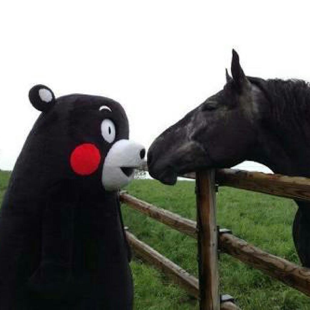 モン太郎@青色申告