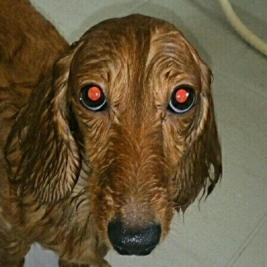 クイントレックスのトーク