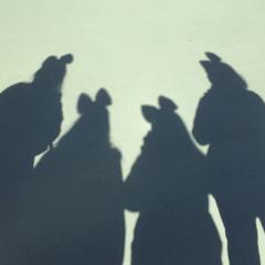 なぎなぎᕱ⑅ᕱ゛